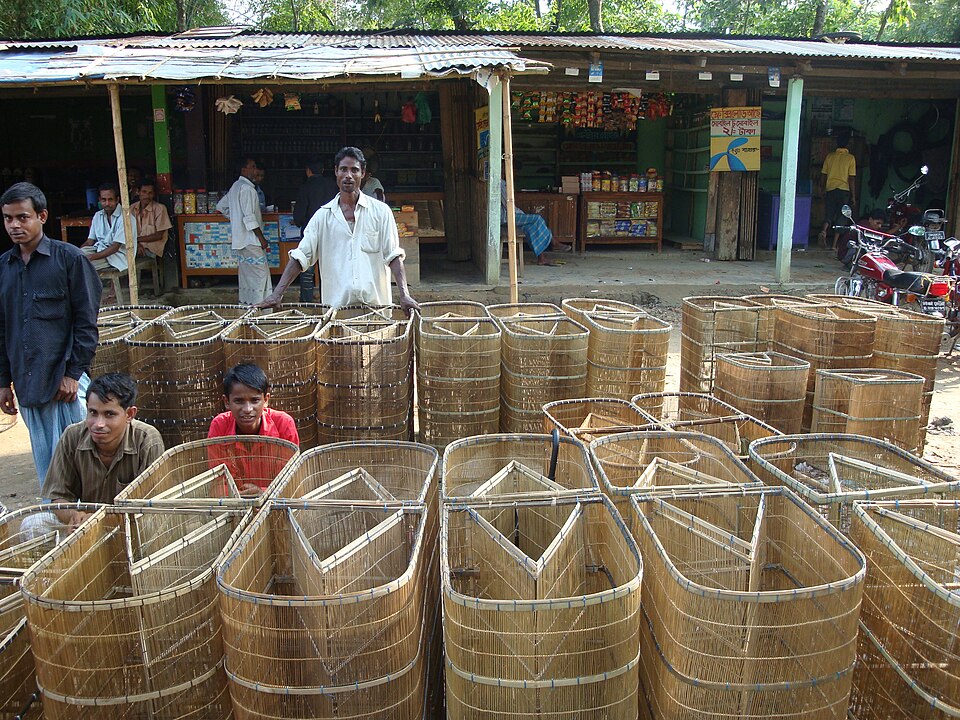 Woven basket traps at market in Sylhet, Bangladesh. The inward funnel mouth is visible on every one.