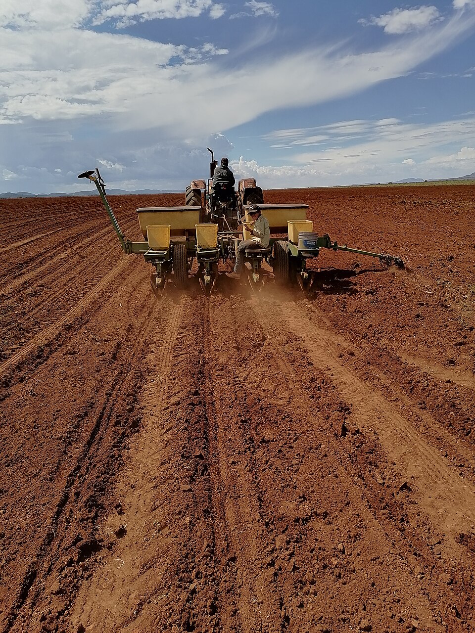 A tractor-drawn planter sowing seed in rows into a prepared field (2020).