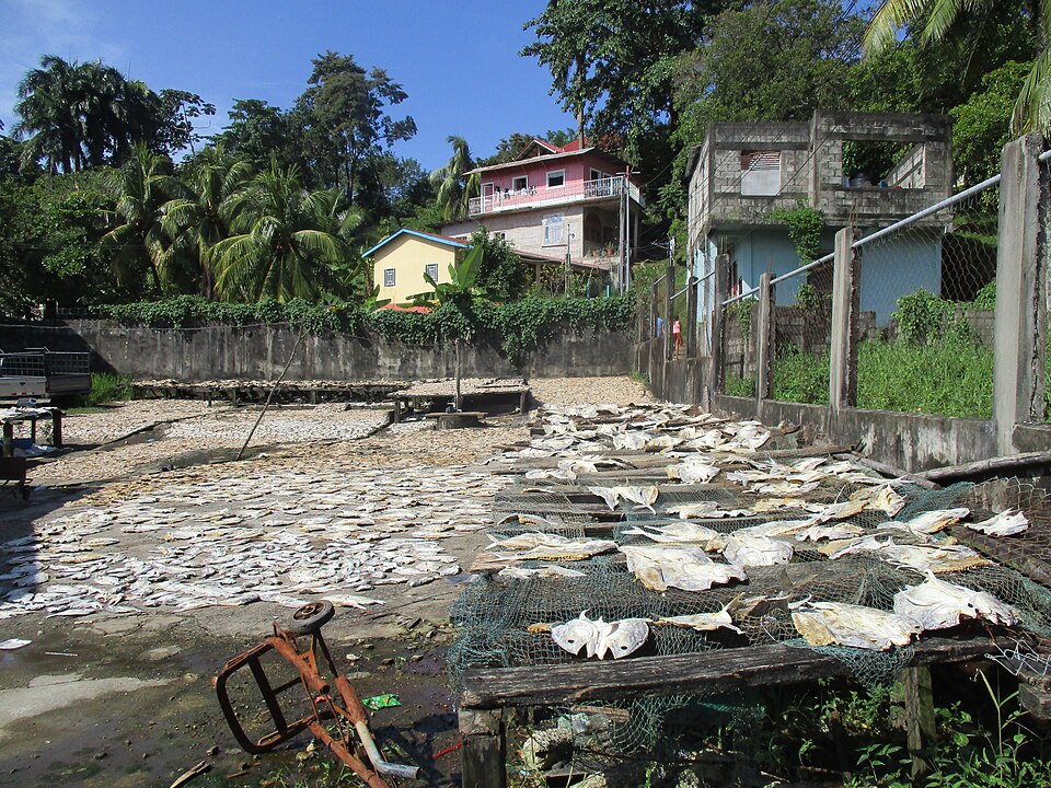 Split fish drying on racks. Preservation is the difference between a harvest and a year of food.