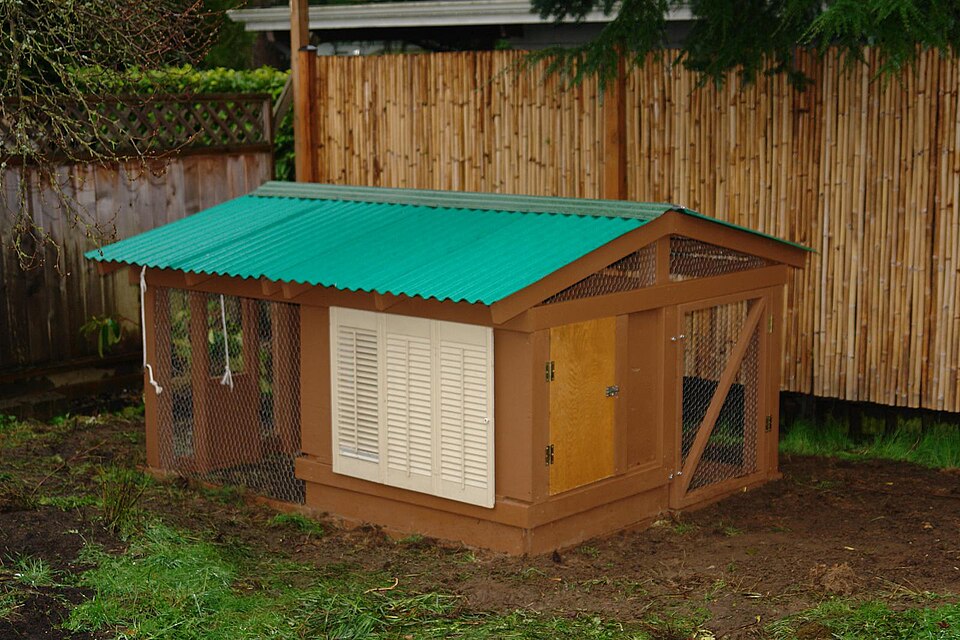 A small chicken house raised off the ground with a wire run. Birds shut in every night are the ones that survive foxes.