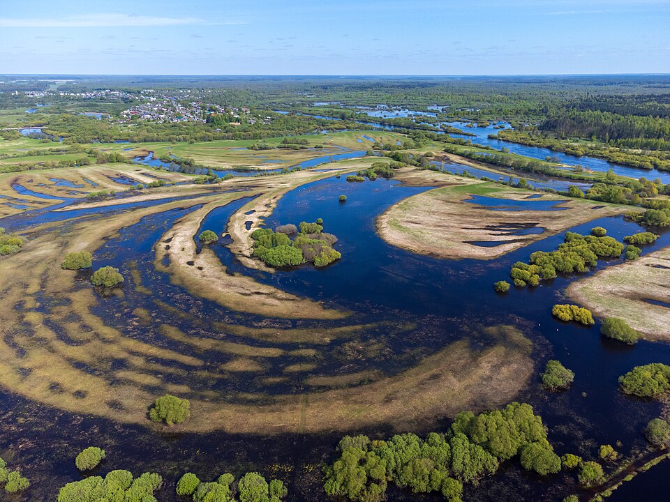 The Berezina in spring flood near Uhlata, Belarus (2023): water covers the whole floodplain, and the village stands on the higher ground beyond it.