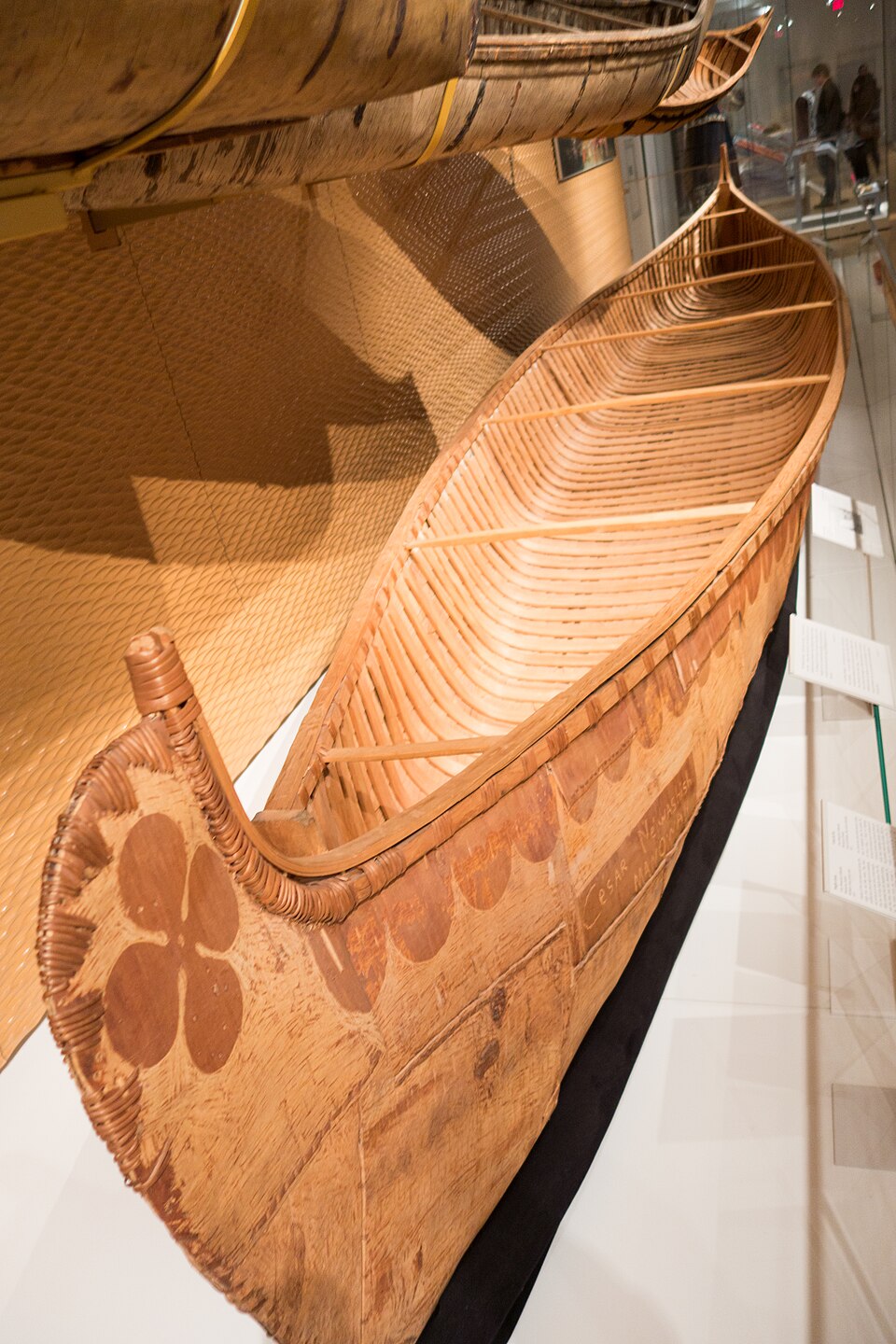 A birch-bark canoe in a museum: bark outside, thin wooden sheathing and bent ribs inside, root lashing along the gunwale.