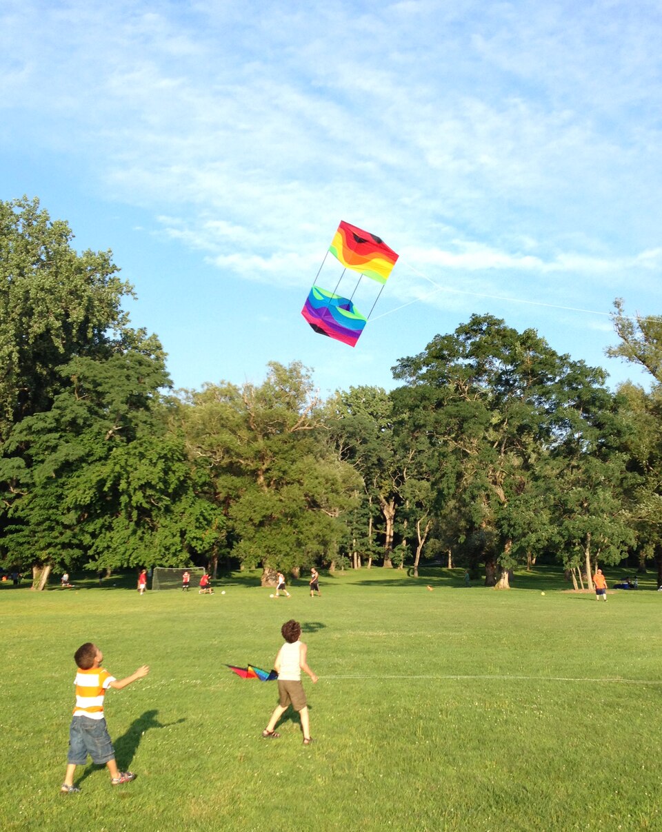 A box kite over a park, 2014: two cells of cloth on a light frame, the type Hargrave linked to lift himself in 1894.