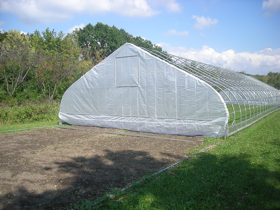 A gothic-arch high tunnel part-built: the end wall clad in film, the steel bows and purlins still bare.