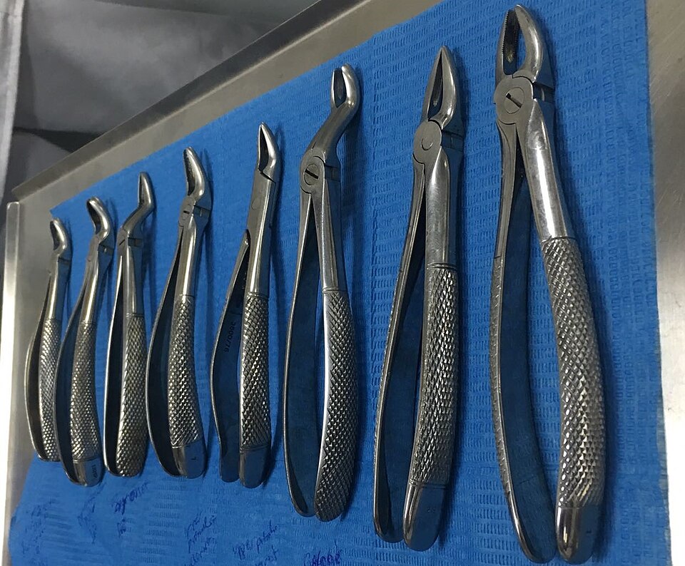 Extraction forceps: each beak is shaped for one group of teeth — upper or lower, front or back. Forged and hardened steel, boiled before use; the technique is learned by hand from someone trained.