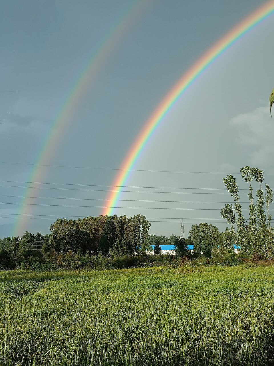 A double rainbow: raindrops split sunlight into its colours. The bright bow has red on the outside, about 42° from the point opposite the Sun; the faint outer bow, at about 51°, has its colours reversed.