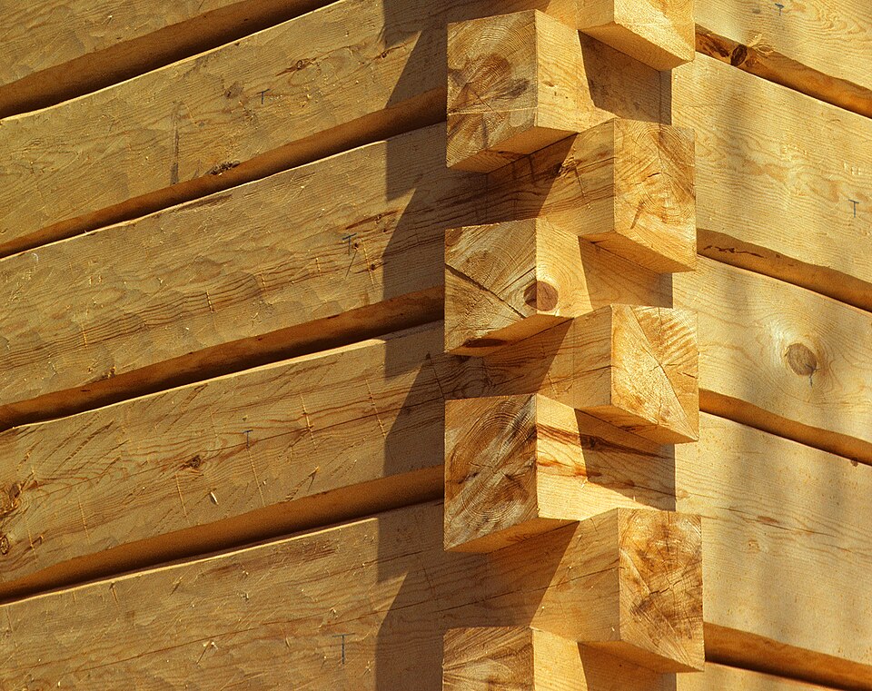A dovetail corner in hand-hewn logs, each log scribed to fit the one below along its whole length, so the wall needs no chinking.
