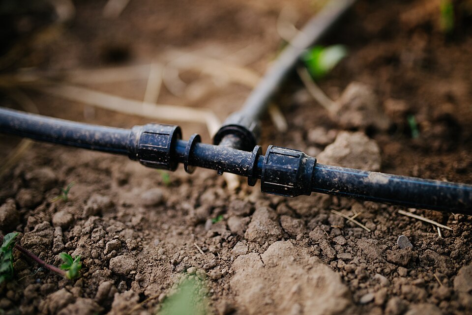 A garden drip system close up: the main pipe with push-fit connectors, and a dripper line branching off it into the bed.