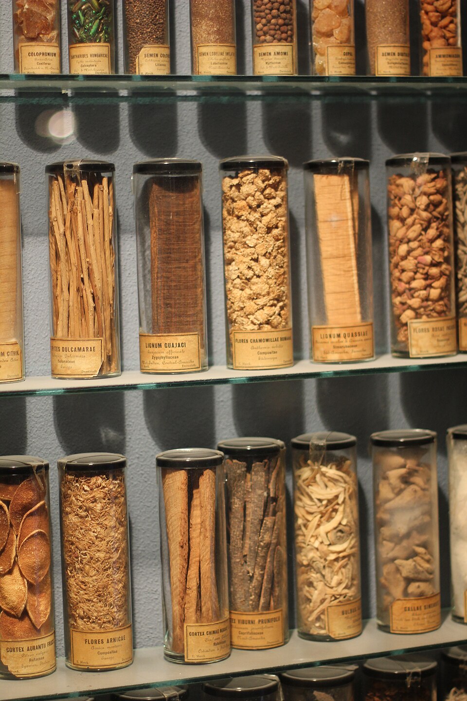 An apothecary's shelves. Knowing dose and identity is what separates medicine from poison.