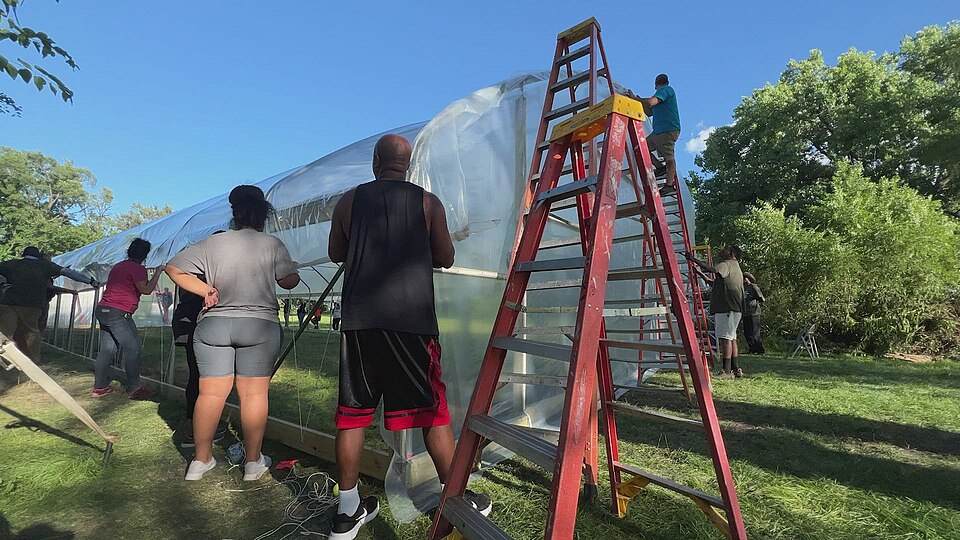 Pulling one sheet of greenhouse film over a high tunnel: a crew along both sides and on ladders, on a calm day.