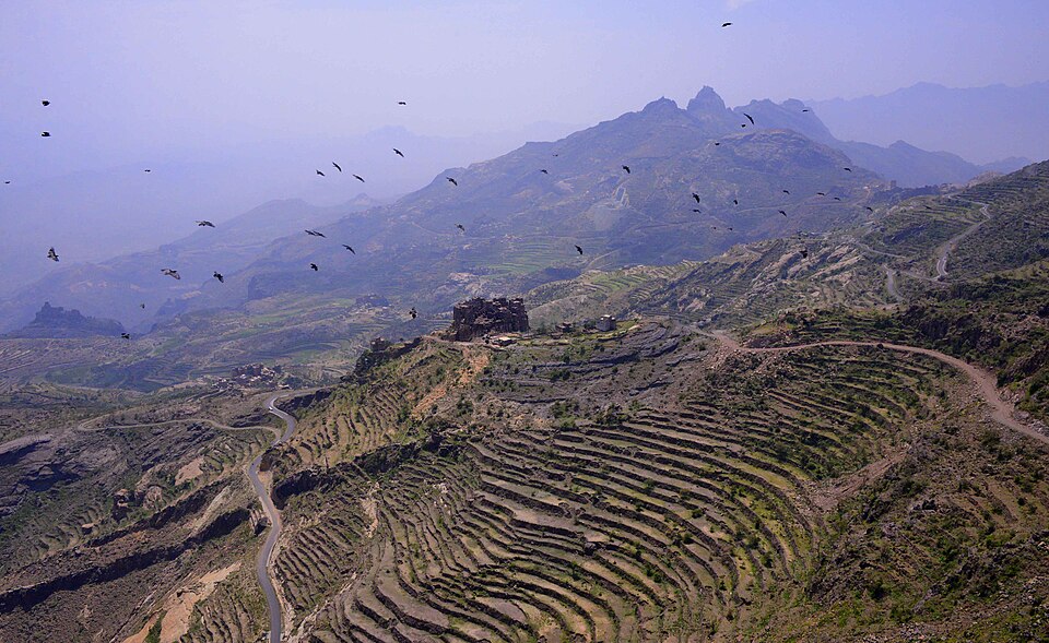 Terraced fields in the Haraz Mountains, Yemen — water held on a slope instead of running off it.