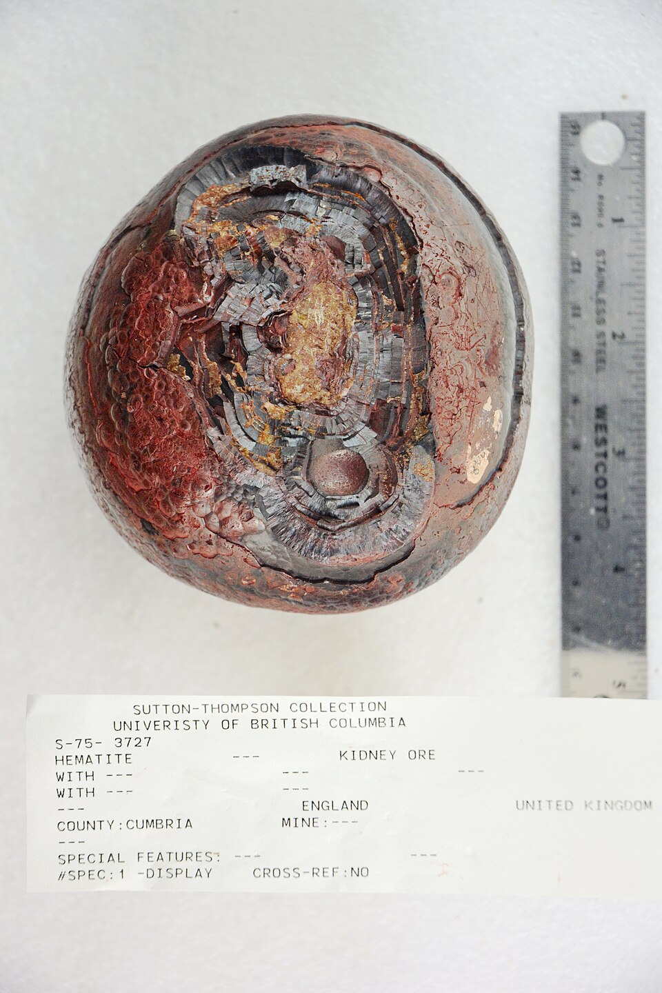 Hematite kidney ore, iron oxide: rounded red-brown masses, grey and metallic inside. Every hematite leaves a red-brown streak when scraped on unglazed pottery, which tells it from other dark ores.