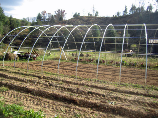 A high tunnel before its film goes on: steel bows set on ground posts and tied along their length by purlins.