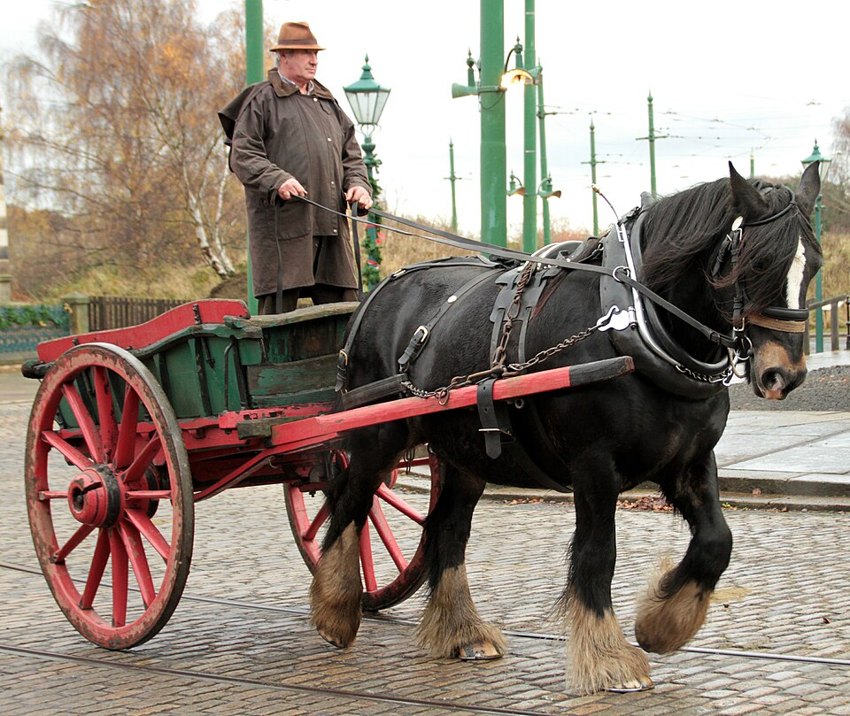 A horse and cart. The wheel matters only as far as the road does.