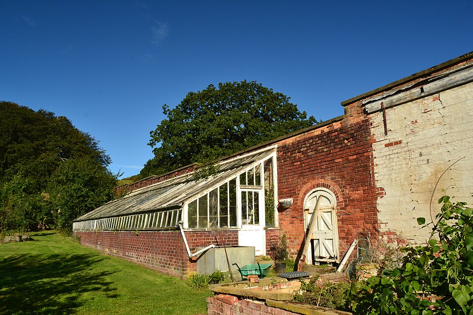 A lean-to glasshouse on a low brick wall, built against the sunny face of a high garden wall that stores the day’s heat.