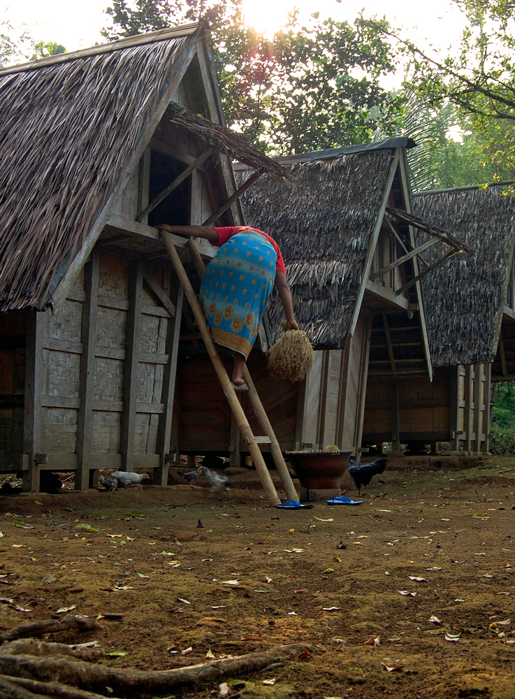 Sundanese rice granaries on capped posts. Seed held back is next year's food.