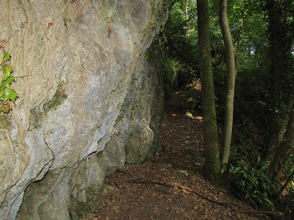 A limestone outcrop — pale grey rock that fizzes with acid and burns to lime.