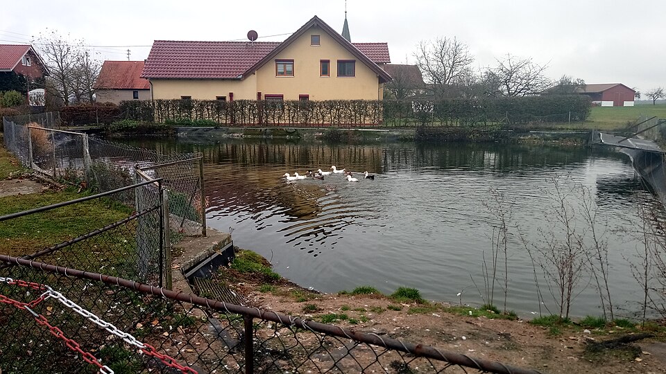 A fenced fire-water pond (Löschwasserteich) in Dornberg, Germany (2021), kept full for the fire service beside the houses it protects.