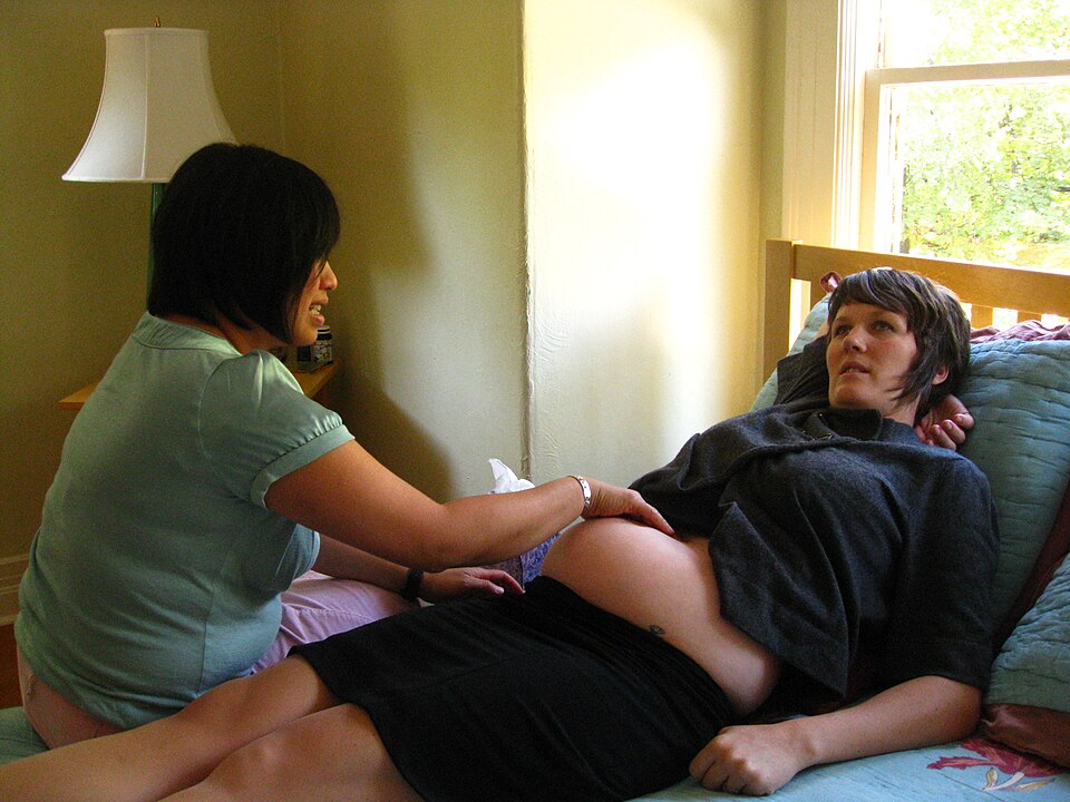 A midwife at a home appointment. Childbirth is where population growth is won or lost.