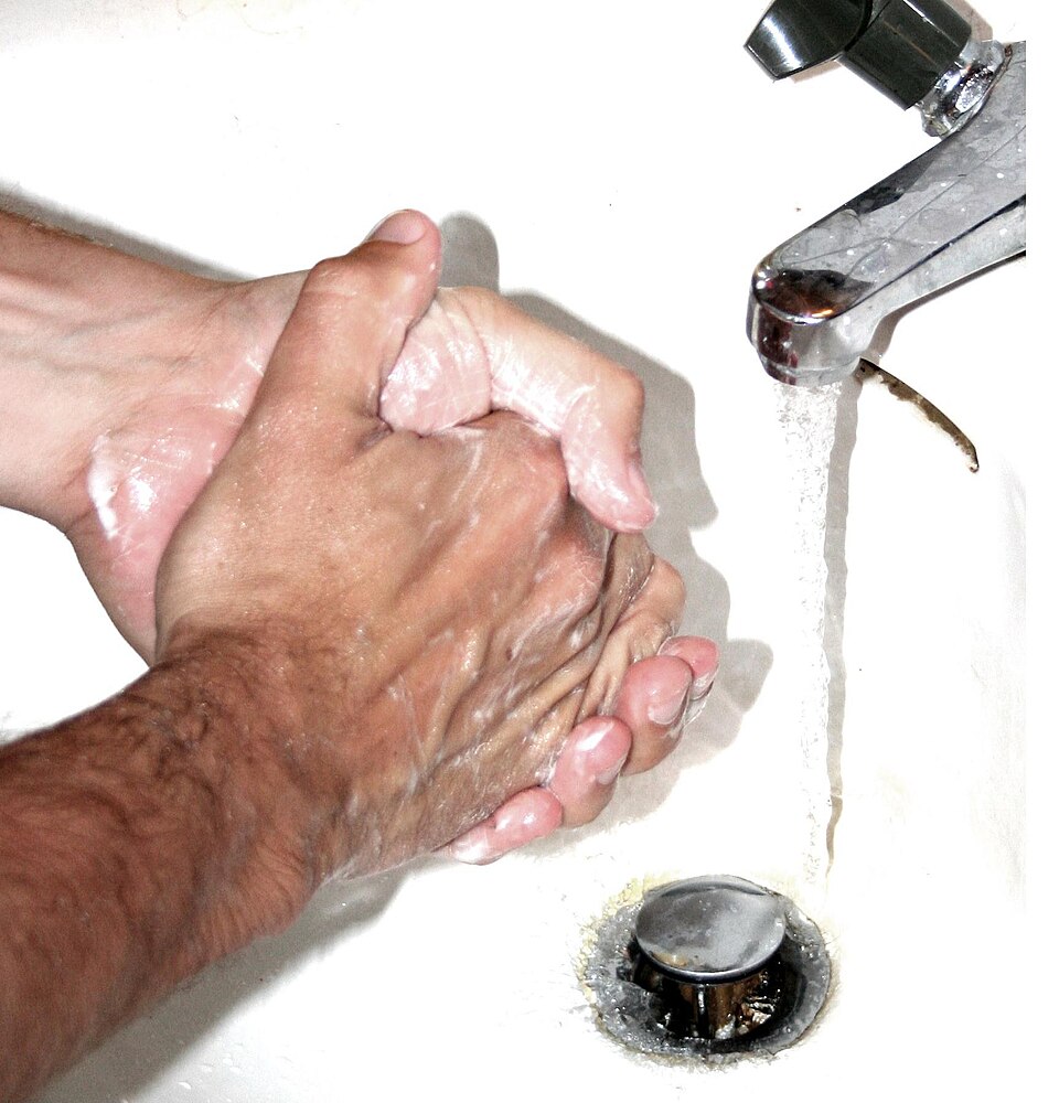 Washing hands. The single cheapest intervention in the history of medicine.