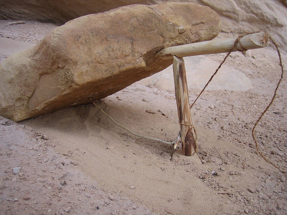 A Paiute deadfall set under a flat rock: a lever, a toggle on a cord, and a bait stick. The rock must be heavy enough to kill outright.