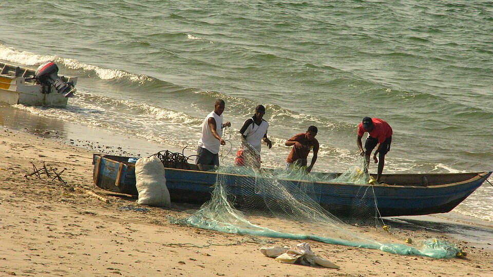 Hauling a set gill net back onto the beach, Colombia.