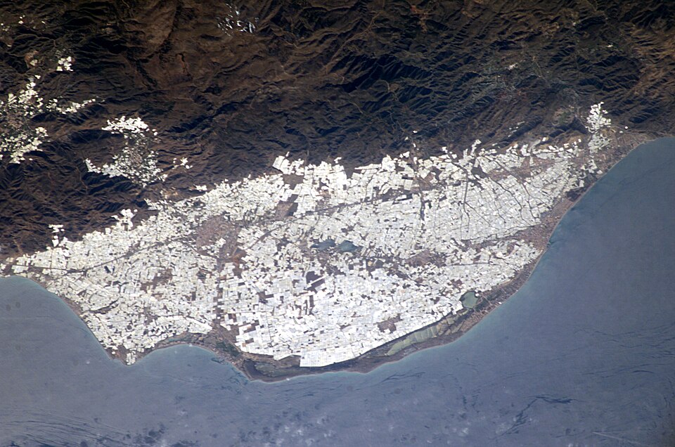 The plastic greenhouses of Almería, Spain, photographed from the International Space Station in 2004: the white area is film.