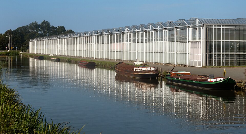 Venlo-type glasshouses in the Westland, the Netherlands: rows of narrow glass roofs on steel columns, with hinged roof vents.