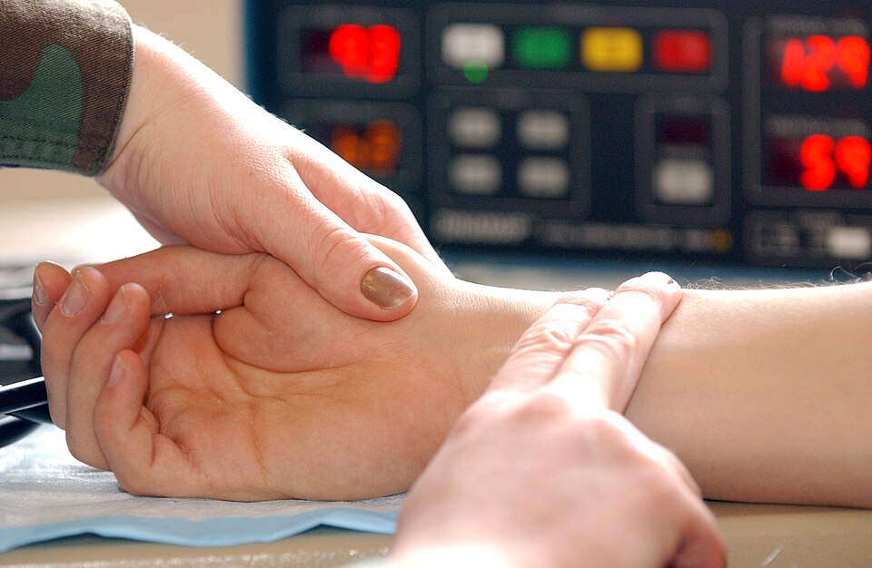 Taking the pulse at the wrist: two fingertips, not the thumb, on the thumb side of the inner wrist. Count for 30 seconds and double it.