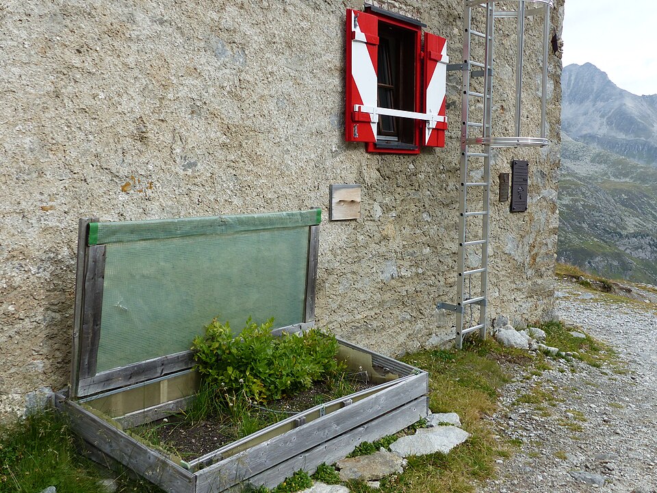 A cold frame against the sunny wall of a mountain hut in the Alps: a boarded box with a glazed light, propped open for the day.