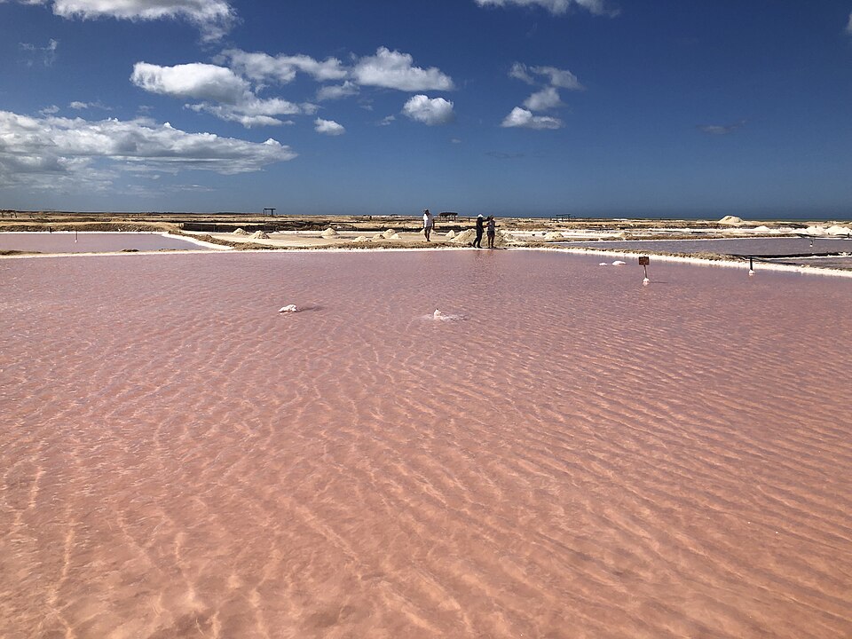 Salt pans at Manaure, Colombia. Preservation, nutrition and, for a long time, money.