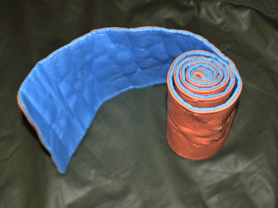 An aluminium-and-foam splint, rolled. Flat it is floppy; bent into a curve along its length it becomes rigid — the principle behind every improvised splint.