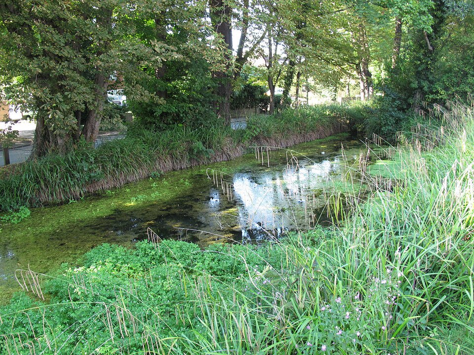 Standing water