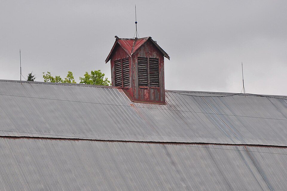 A louvred cupola on the ridge of the Sump Barn, Wabaunsee County, Kansas (2023): warm, damp air rises out of the barn through it.
