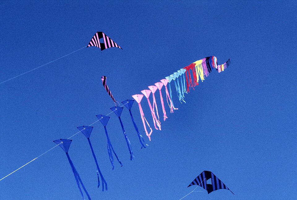 A train of Eddy kites on one line at Fanø, Denmark, 1994: several kites share the line and add their pull.