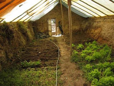 Inside a walipini: earth walls take in the day’s heat and give it back at night, and salad grows below ground level in winter.